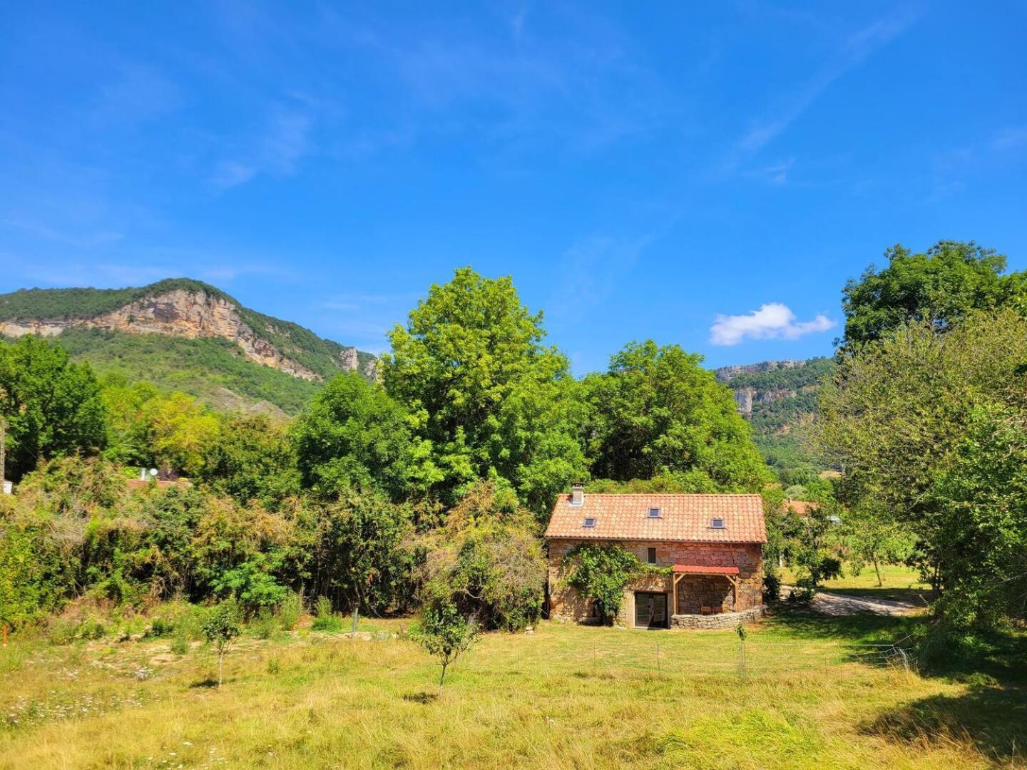 Maison Des Biches Saint-Jean-et-Saint-Paul Buitenkant foto